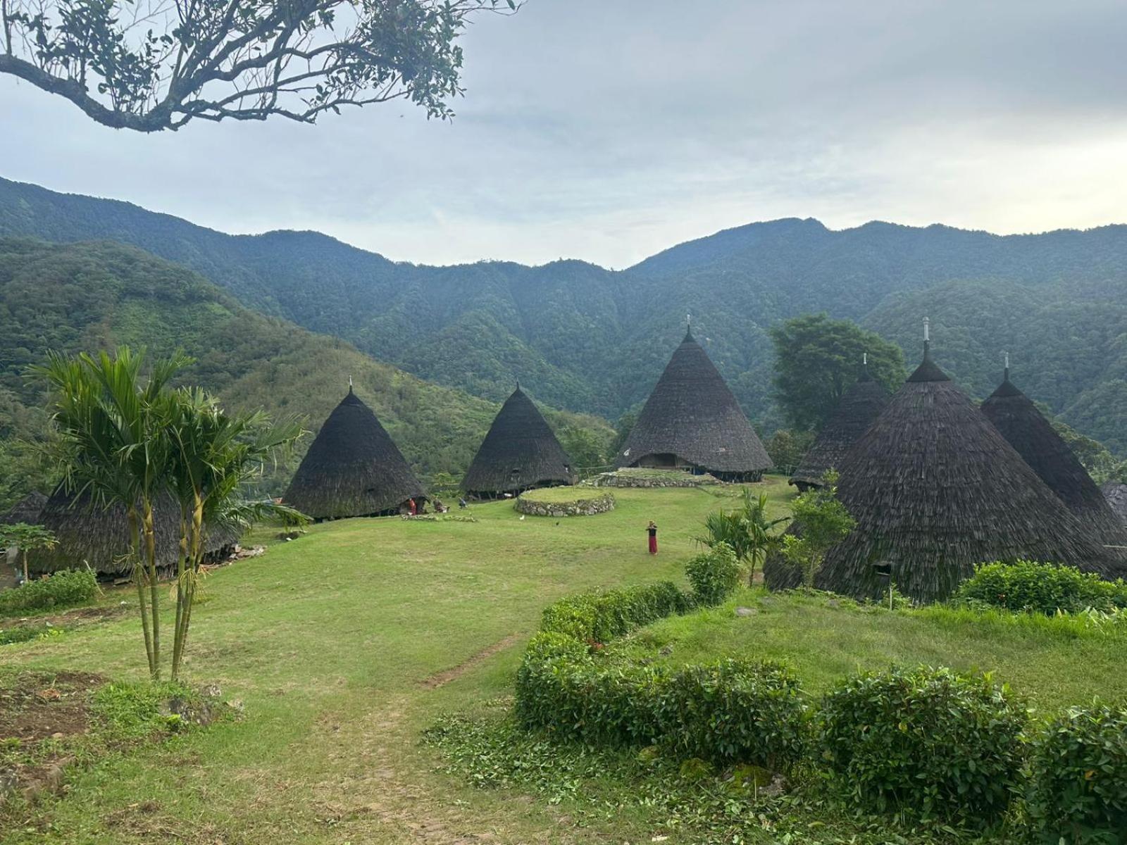 D'Flora Homestay ラブハン・バジョ エクステリア 写真