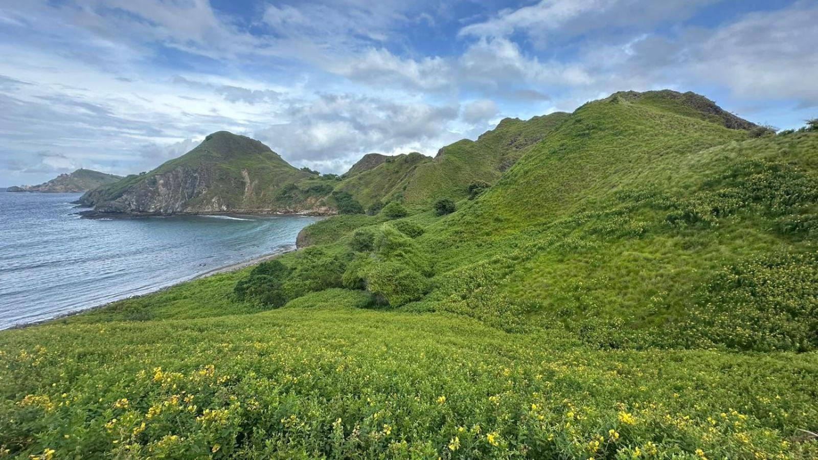 D'Flora Homestay ラブハン・バジョ エクステリア 写真