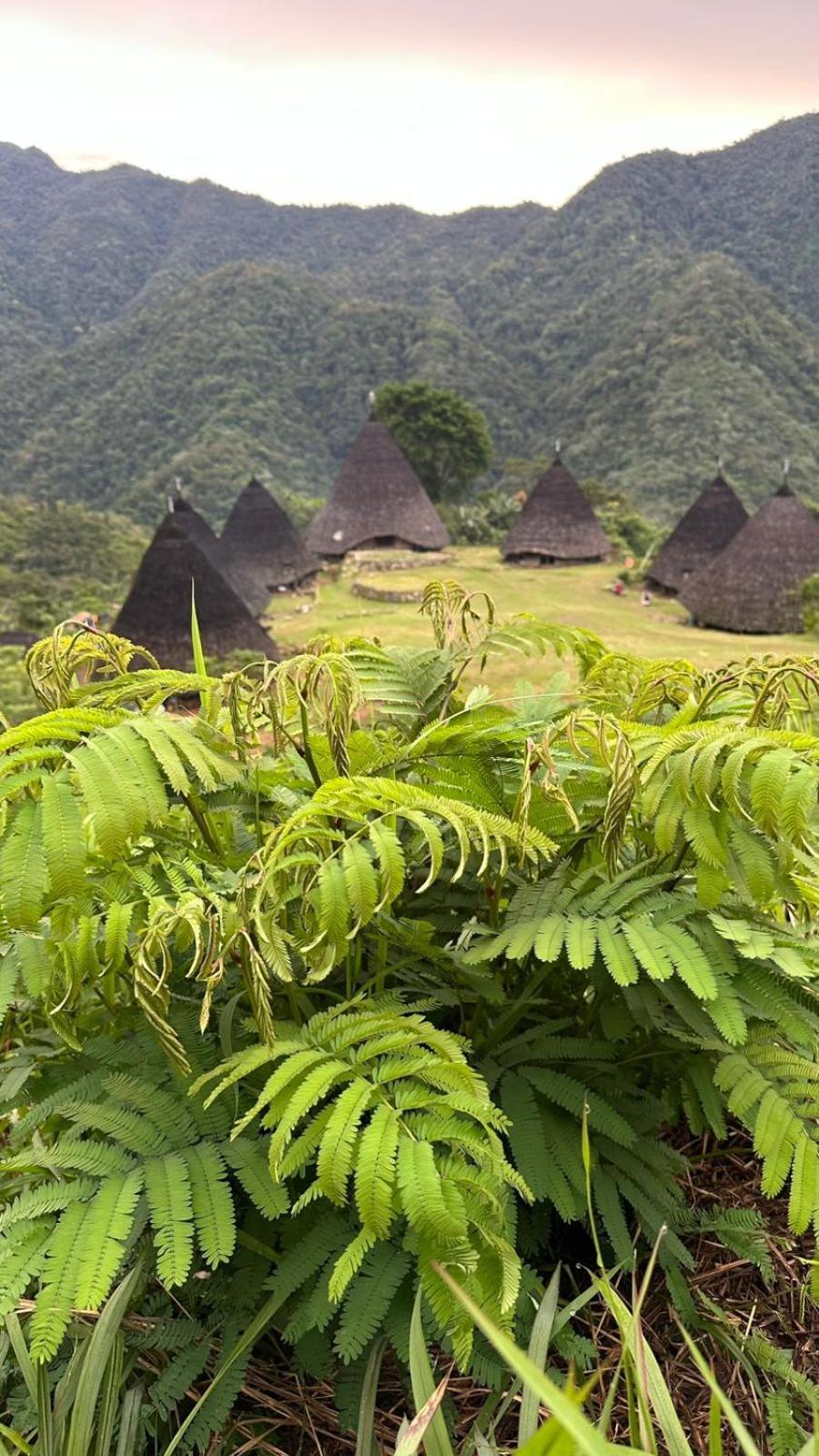 D'Flora Homestay ラブハン・バジョ エクステリア 写真